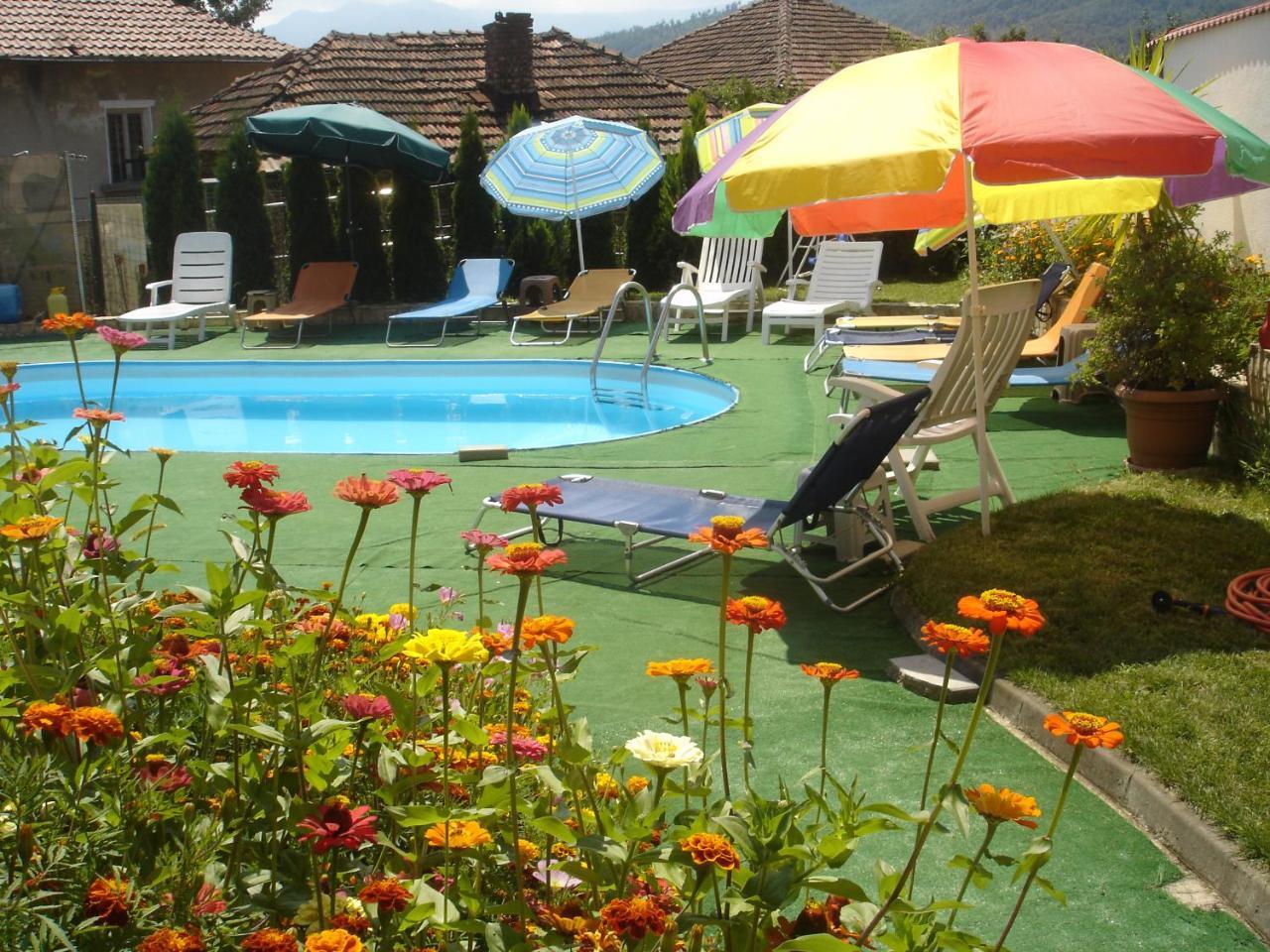 Guest House Camellia Berkowiza Exterior foto